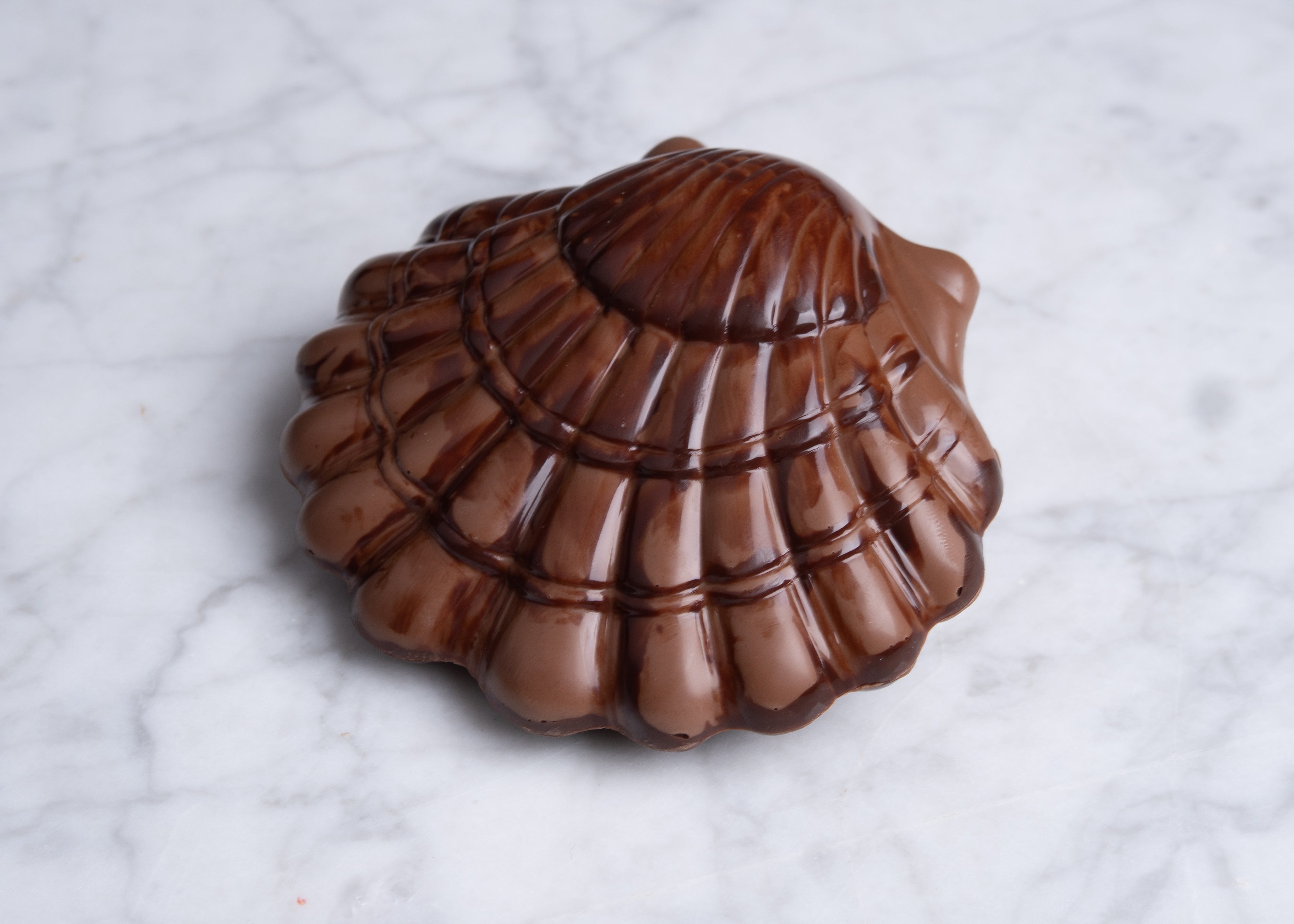 Chocolade schelp - Melkchocolade & Pure chocolade