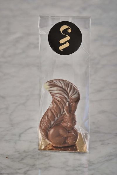 Eekhoorntje in melkchocolade-Chocolate Nation-Chocolate Nation