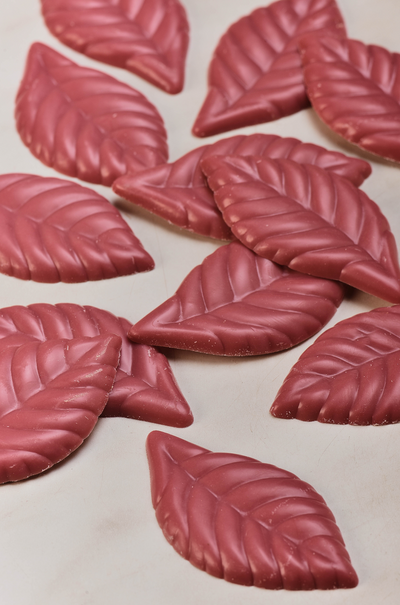 Chocolate autumn leaves Ruby Chocolate