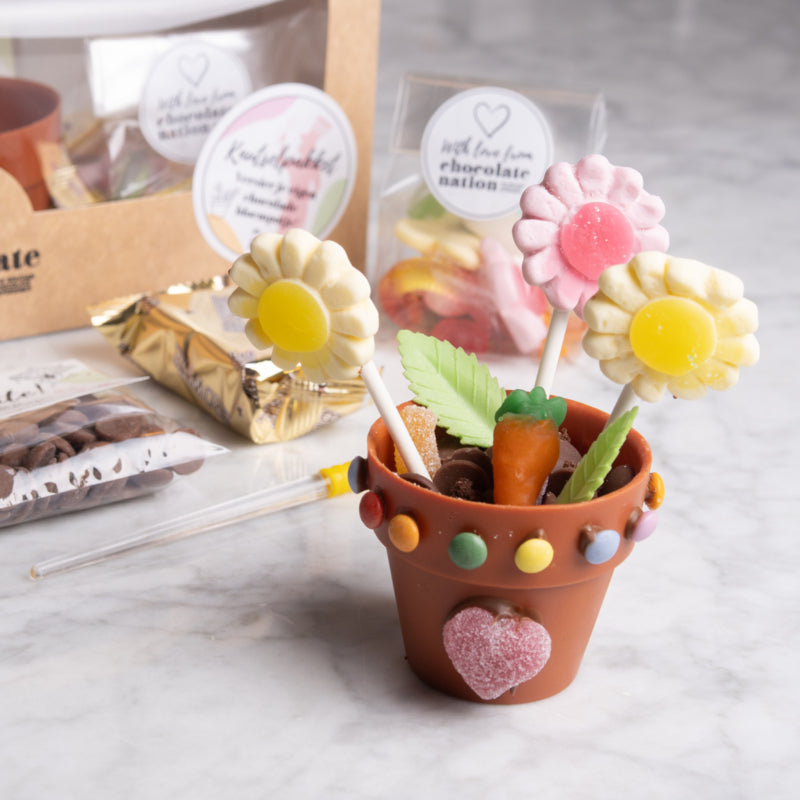 Chocolate flower pot craft kit